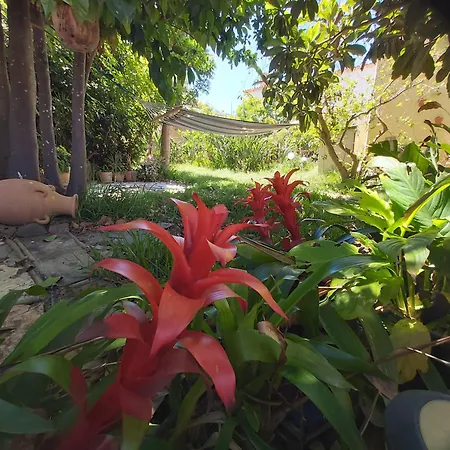 Holidays Tenerife Breakfast Inclusive Wifi Pool Fr Holiday home *